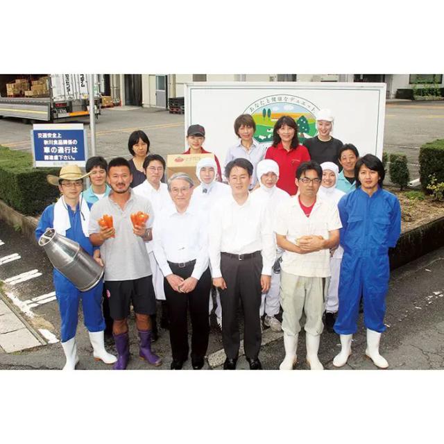 秋川牧園 こどもハヤシ １Ｐ 5個セット 送料無料-3