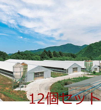 秋川牧園 秋川牧園の卵でつくったたまご村プリン単品 カラメル無 12個セット 送料無料-2