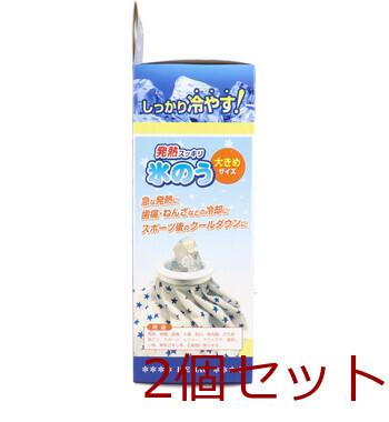 リーダー 発熱スッキリ 氷のう 大きめサイズ 1個入 2セット 送料無料-3