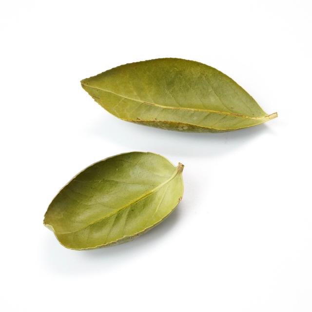 和食器 国産 乾燥 椿の葉舟 10個入 日本製 2セット 送料無料-1