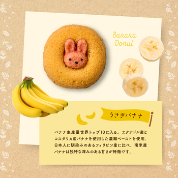 フォレシピ ちいさな森のドーナツ８個入 ラッピング可 送料無料-5