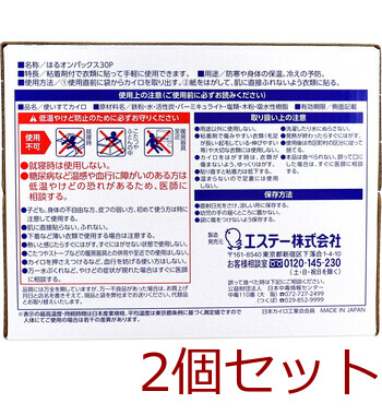 はるオンパックス 衣類に貼るカイロ 30個入 2セット 送料無料-2