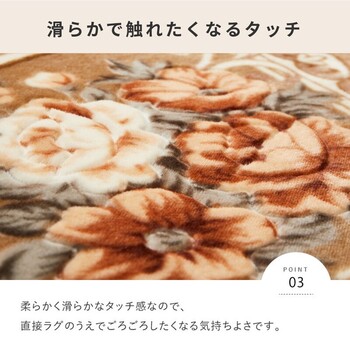 ラグ 約220×220cm ホットカーペットカバー 洗える ウレタン10mm 滑りにくい加工 アドリア ベージュ 送料無料-3
