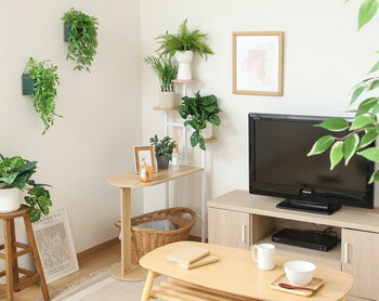 ディスプレイサイドテーブル W84 WH 送料無料-1