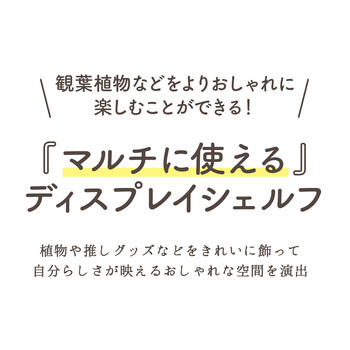 ディスプレイシェルフ BK 送料無料-2