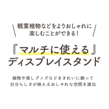 ディスプレイスタンド スリム 送料無料-1
