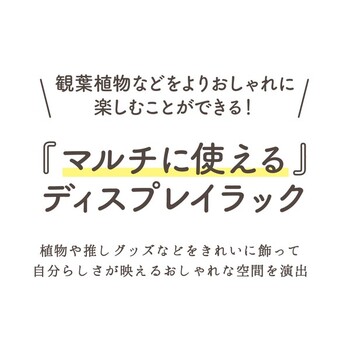 ディスプレイラック アーチ型KD W800 送料無料-6
