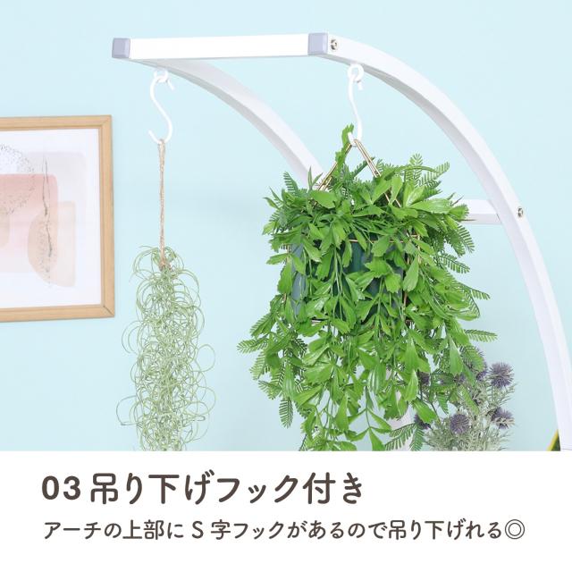 ディスプレイラック アーチ型KD　W800 送料無料-2