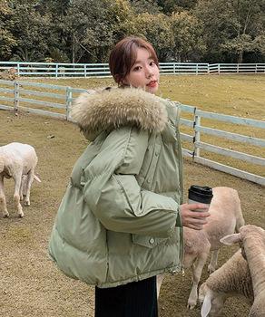 ダウンコート フードエコダウンジャケット 送料無料 即日発送-9