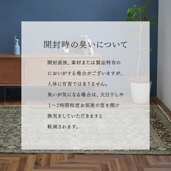 カーペット 約240×330cm デザインラグ ウィルトンカーペット クラシック柄 高級ラグ アルスラーン 送料無料-12