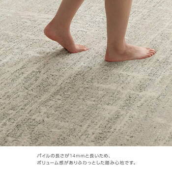 カーペット 約200×250cm アイボリー ウィルトンカーペット ルームマット ラグマット タック 送料無料-5