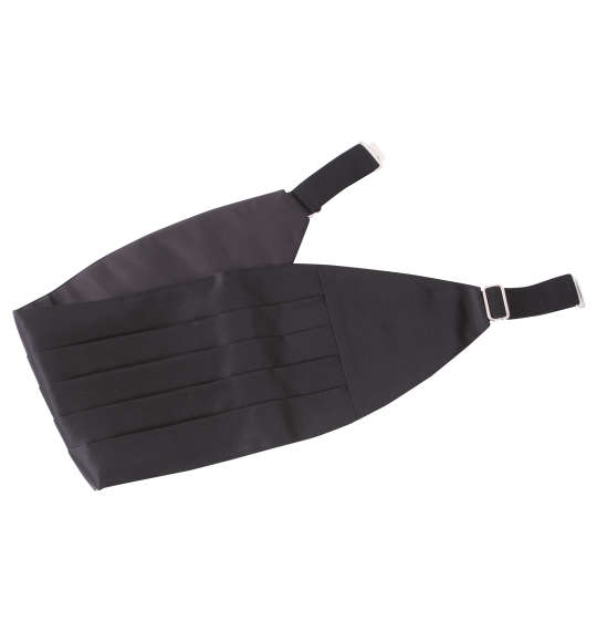 大きいサイズ カマーバンド蝶ネクタイ3L ラッピング可 送料無料 即日発送-2