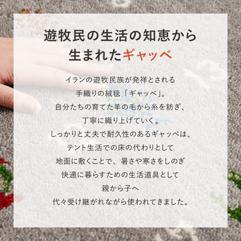 ギャッベ 玄関マット 約60×90cm 屋内 羊毛 手織り ヌメロ 送料無料-1