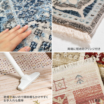 ラグ ウィルトン織ラグ 約160×225cm トルコ製 RAKKAS ラッカス グレイズ 送料無料-5