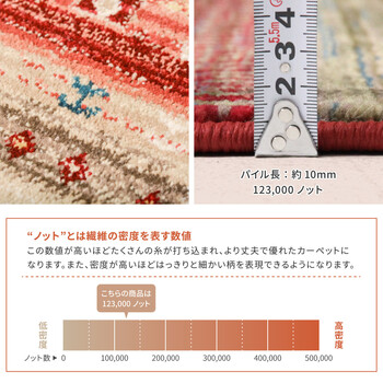 玄関マット 約60×90cm ウィルトン織 トルコ製 RAKKAS ラッカス ジャルダン 送料無料-11