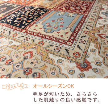 玄関マット 約60×90cm 洗濯機OK 滑り止め 撥水加工付き トロワ 送料無料-3