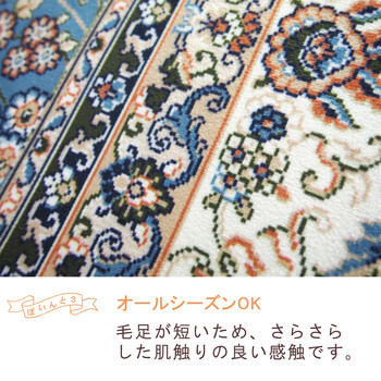 玄関マット 約60×90cm 洗濯機OK 滑り止め 撥水加工付き ターコイズ 送料無料-3