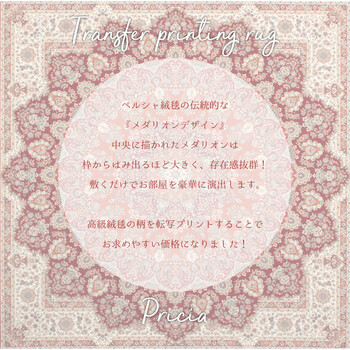 玄関マット 約50×80cm 洗濯機OK 滑り止め 撥水加工付き プリシア 送料無料-6