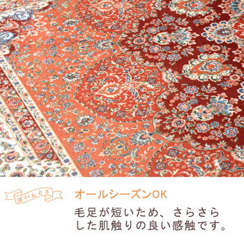 玄関マット 約50×80cm 洗濯機OK 滑り止め 撥水加工付き プリシア 送料無料-2