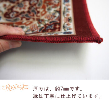 玄関マット 約50×80cm 洗濯機OK 滑り止め 撥水加工付き プリシア 送料無料-3