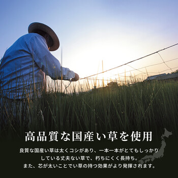 ラグ 国産い草ラグ カーペット 裏貼有約191×191cm 右京 ベージュ 送料無料-2