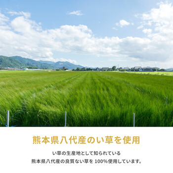 い草 純国産上敷き 本間6畳 引目織 琥珀 こはく 送料無料-2
