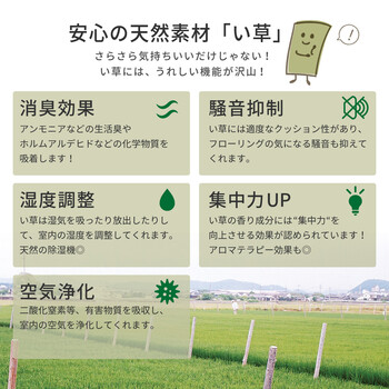 い草 玄関マット 約47×70cm 涼華 すずか 裏貼有 滑りにくい加工 送料無料-5