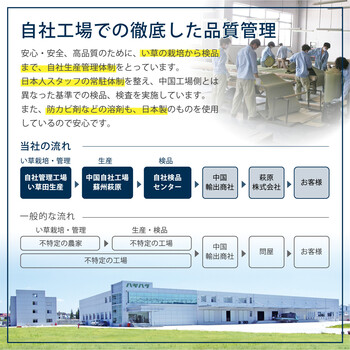 い草 玄関マット 約47×70cm 涼華 すずか 裏貼有 滑りにくい加工 送料無料-6