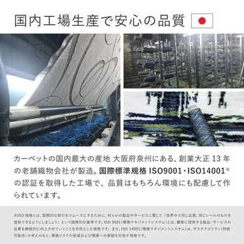 ラグ タフトラグ 約130×190cm 防ダニ 抗菌 抗ウイルス アレル物質低減 消臭 日本製 ジャスト 2カラー 3サイズ 送料無料-15