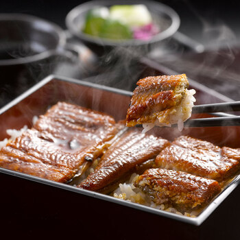 うなぎ割烹 一愼 うなぎ蒲焼セット 蒲焼55g×9袋、たれ50ml×2、さんしょう×9袋 送料無料-1