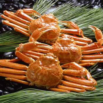 ボイルずわいがに姿 450g×3杯 送料無料-1