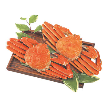 ボイルずわいがに姿 600g×2杯 送料無料-1