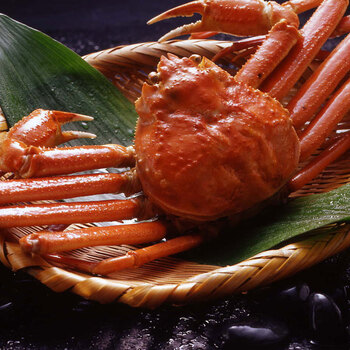 ボイルずわいがに姿 600g×1杯 送料無料-1