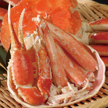 ボイルずわいがに姿 600g×1杯 送料無料-2