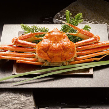 ボイルずわいがに姿 500g×1杯 送料無料-1