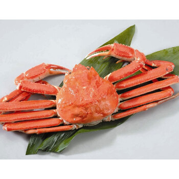 ボイルずわいがに姿 500g×1杯 送料無料-3