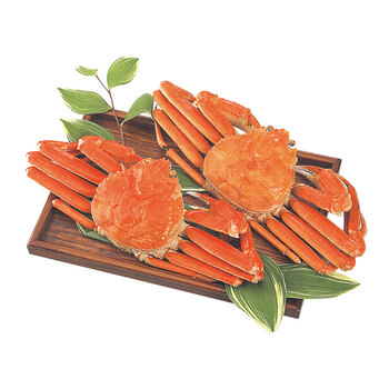 ボイルずわいがに姿 500g×2杯 送料無料-1