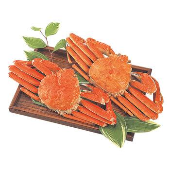 ボイルずわいがに姿 450g×2杯 送料無料-2