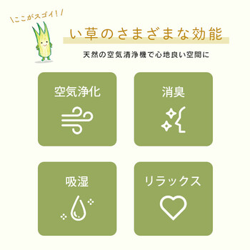 ラグ い草ラグ ラグ カーペット 約176×176cm 和柄 風物詩 DX金魚 送料無料-8