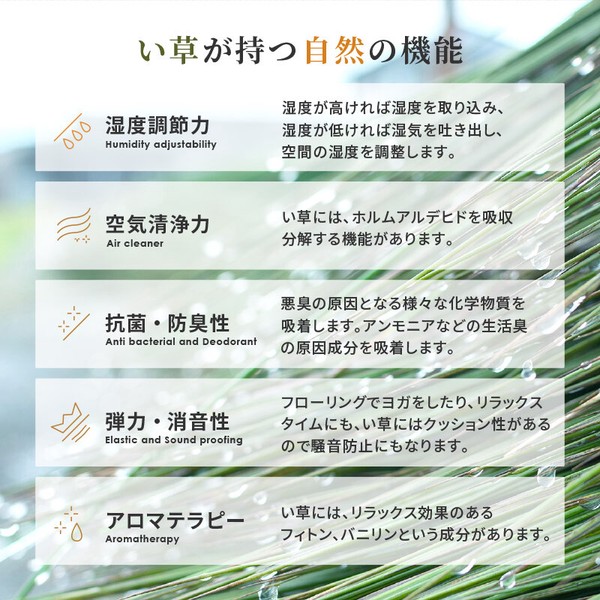 カーペット い草カーペット 本間3畳 柄上敷き 花ござ 裏貼り 市松柄 若月 グリーン ブラウン 送料無料-6