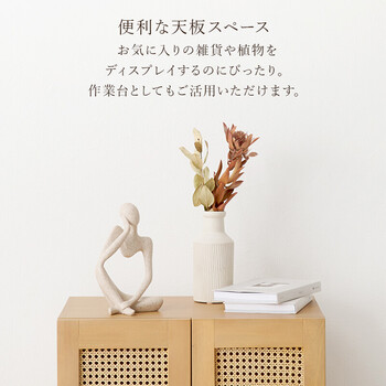 キャビネットRCC 1240 NA 送料無料-13