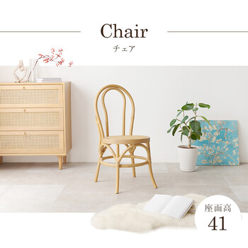 ダイニングチェアRC 1243 NA 送料無料-1