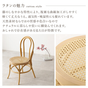 ダイニングチェアRC 1243 NA 送料無料-5