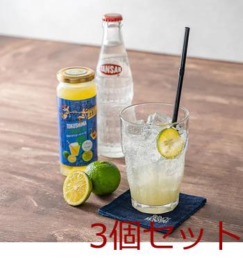 フレンチモンスター 徳島すだちネードベース 3個セット 送料無料-3