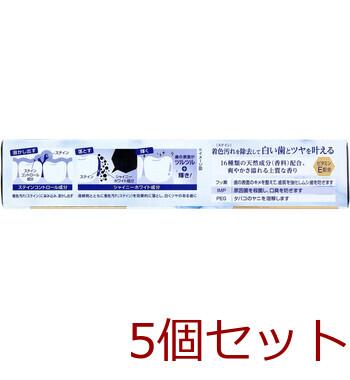 Ora2 オーラツー プレミアム ステインクリア ペースト プレミアムミント 100g 5個セット 送料無料-1