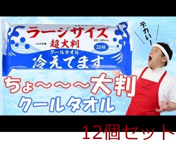 超大判 クールタオル ラージサイズ冷えてます 60×40cm 5枚入 12セット 送料無料-8