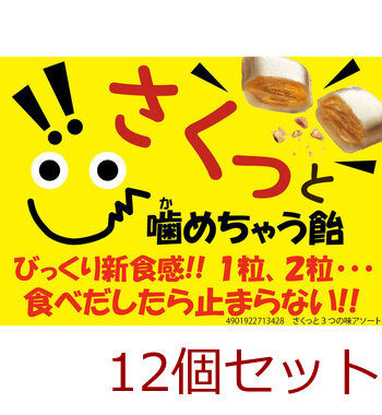 さくっと 3つの味アソート 55g 12個セット 送料無料-5