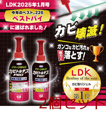 カビトルデスPRO グリーンジェル 低臭タイプ 大容量 150g 2個セット 送料無料-2