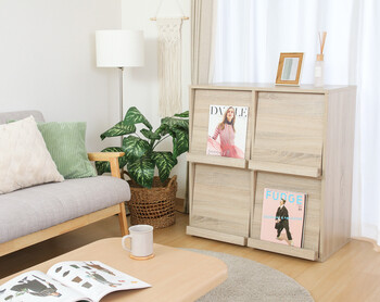 ディスプレイラック 4マス 送料無料-9