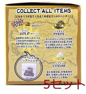 宝物発見シリーズ 黄金発見 5個セット 送料無料-2